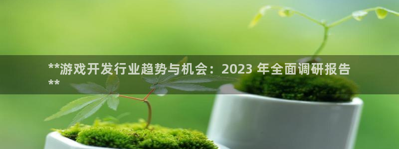 天辰平台会员多少钱一个：**游戏开发行业趋势与机会：2023 年全面调研报告
**